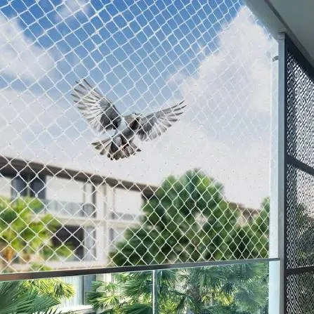 Bird Netting installed in Bangalore by JS Invisible Grills — photo 2