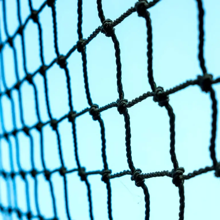 Sports Nets installed in Bangalore by JS Invisible Grills — photo 4