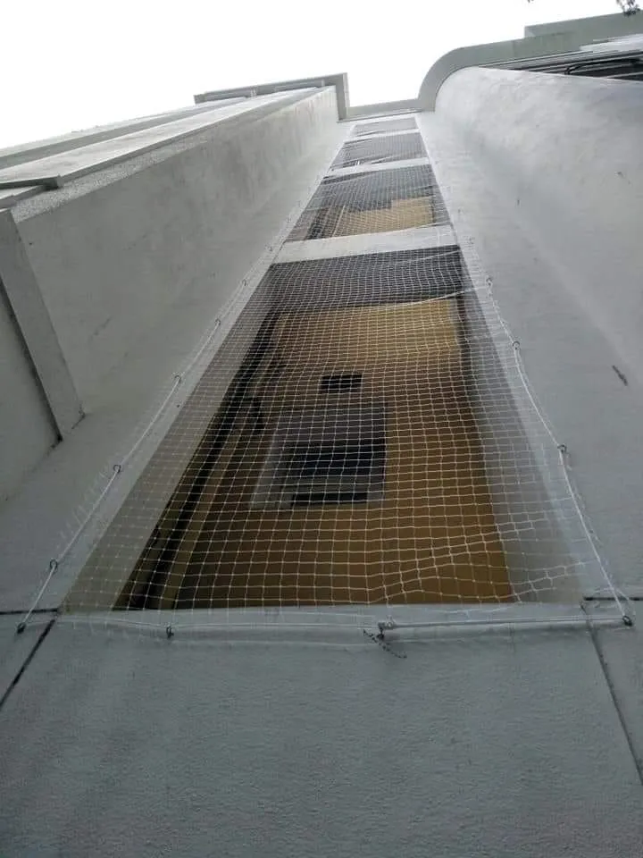 Bird Netting installed in Bangalore by JS Invisible Grills — photo 6